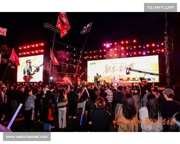 综合格斗主题音乐节在晋中举办，吸引年轻群体关注